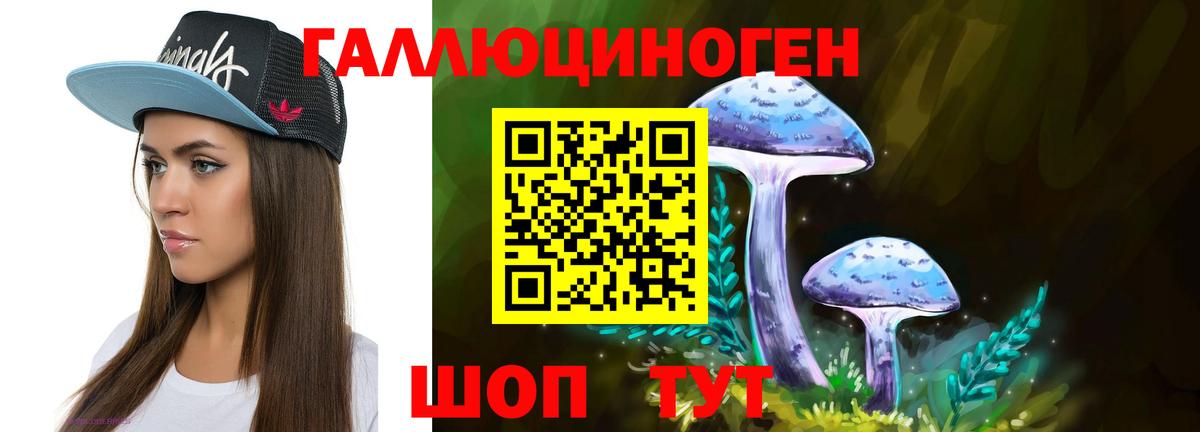 Галлюциногенные грибы Psilocybe Димитровград